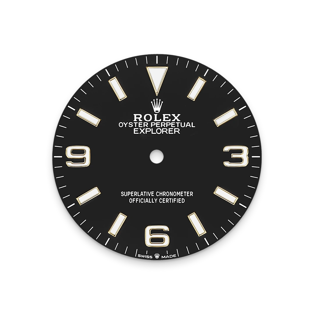 Rolex Explorer 36 in Yellow Rolesor - combination of Oystersteel and yellow gold, M124273-0001 - Bern Watches