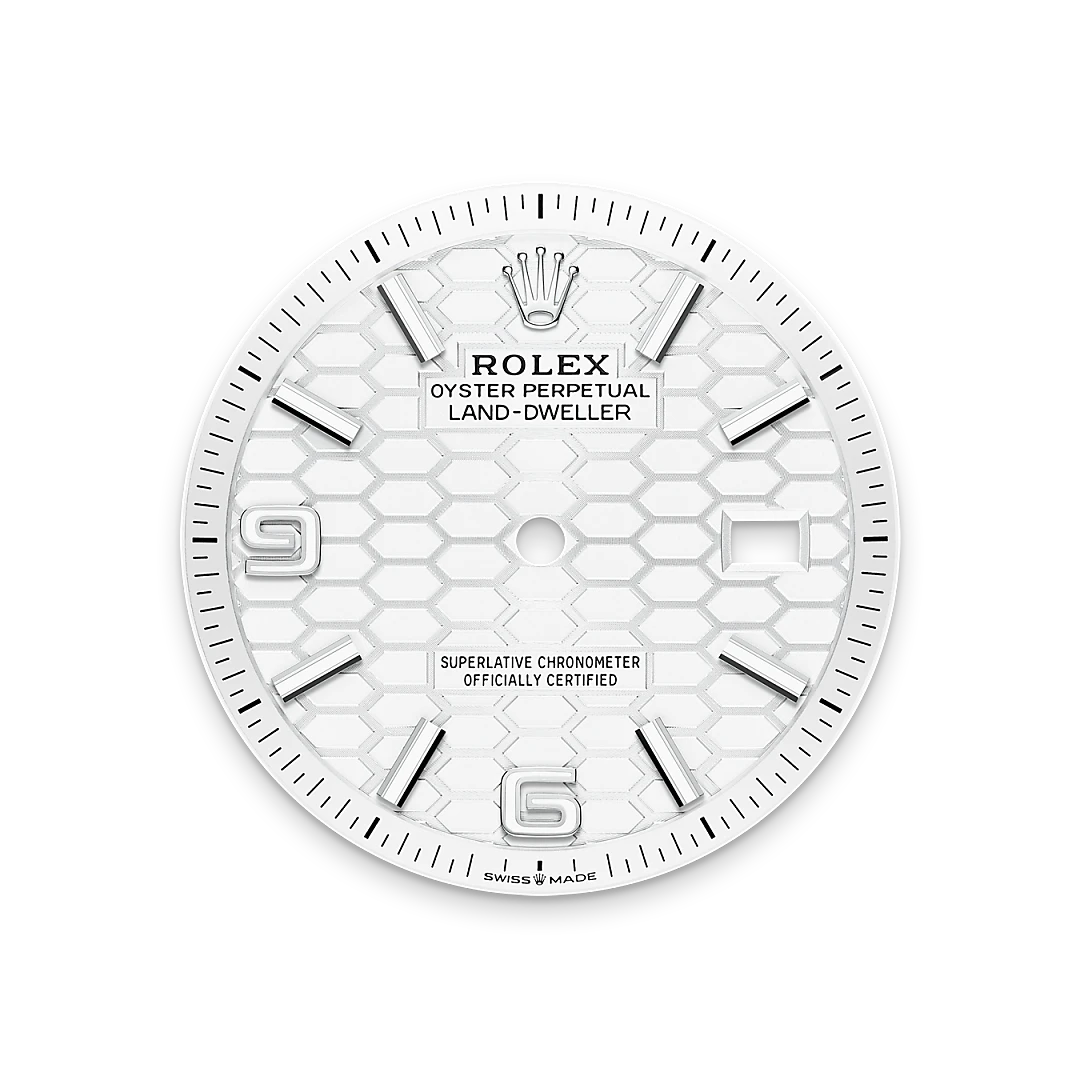 Rolex Land-Dweller 36腕錶白色黃金鋼（蠔式鋼與白色黃金的組合）款，M127234-0001- 伯恩錶行