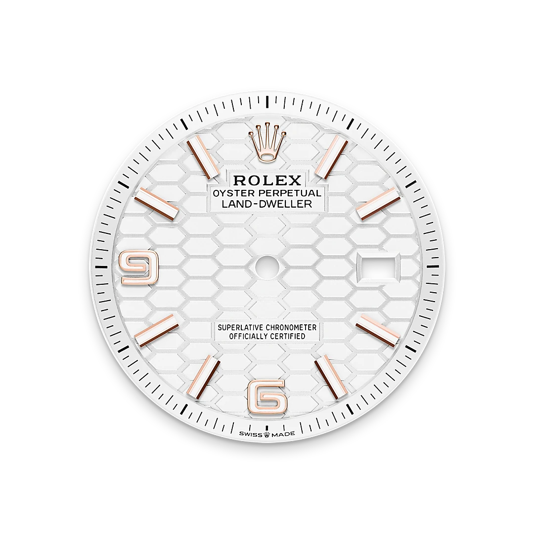Rolex Land-Dweller 36 in 18 ct Everose gold, M127235-0001 - Bern Watches