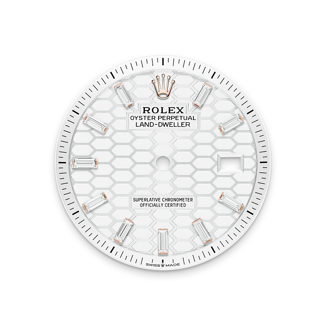 Rolex Land-Dweller 36 in 18 ct Everose gold, M127285TBR-0002 - Bern Watches