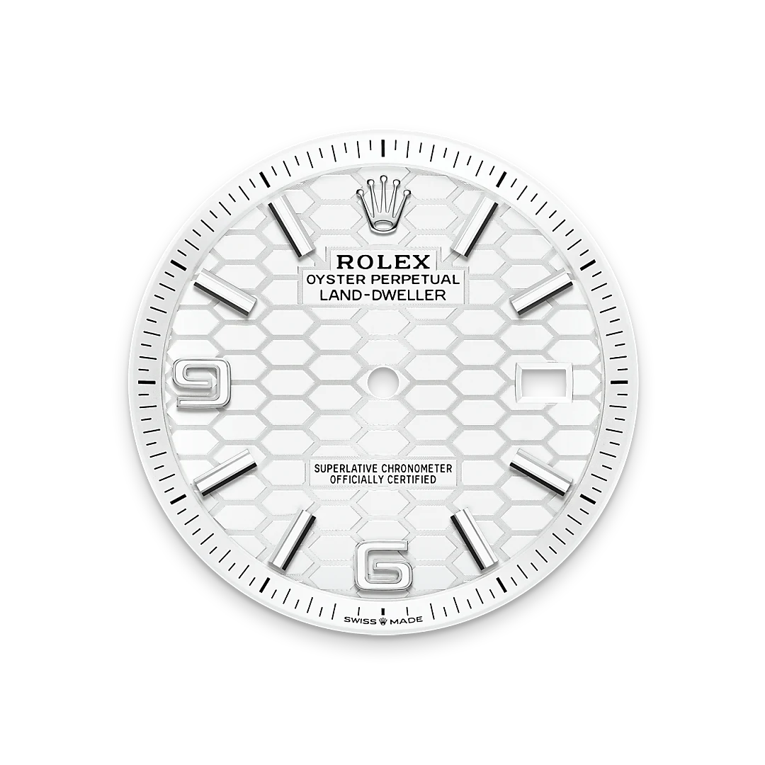 Rolex Land-Dweller 40 in White Rolesor - combination of Oystersteel and white gold, M127334-0001 - Bern Watches