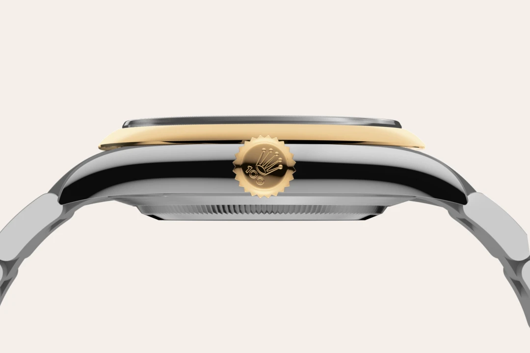 Rolex Oyster Perpetual 41 in Yellow Rolesor - combination of Oystersteel and yellow gold, M134303-0001 - Bern Watches